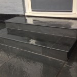 andean grey step pic